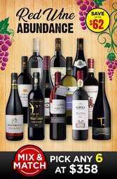 Red Wine Abundance Mix & Match 6 Bottle Bundle
