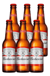 6 x Budweiser Beer Bottle Pack 330ml