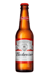 COLD Budweiser Beer Bottle 330ml