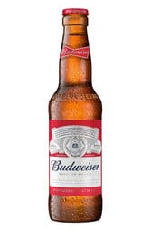 COLD Budweiser Beer Bottle 355ml