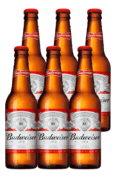 6 x Budweiser Beer Bottle Pack 330ml