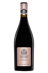 Chateau de Pommard Bourgogne Pinot Noir 2020 750ml