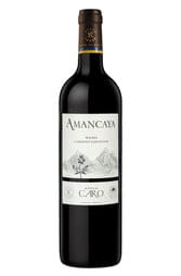 Domaines Baron Rothschild Lafite Bodegas Caro Amancaya 2018 750ml